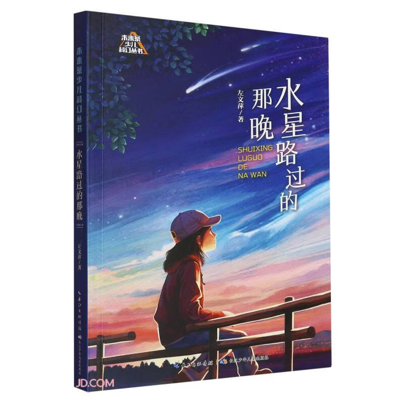 未来系少儿科幻丛书（第二辑）:水星路过的那晚 