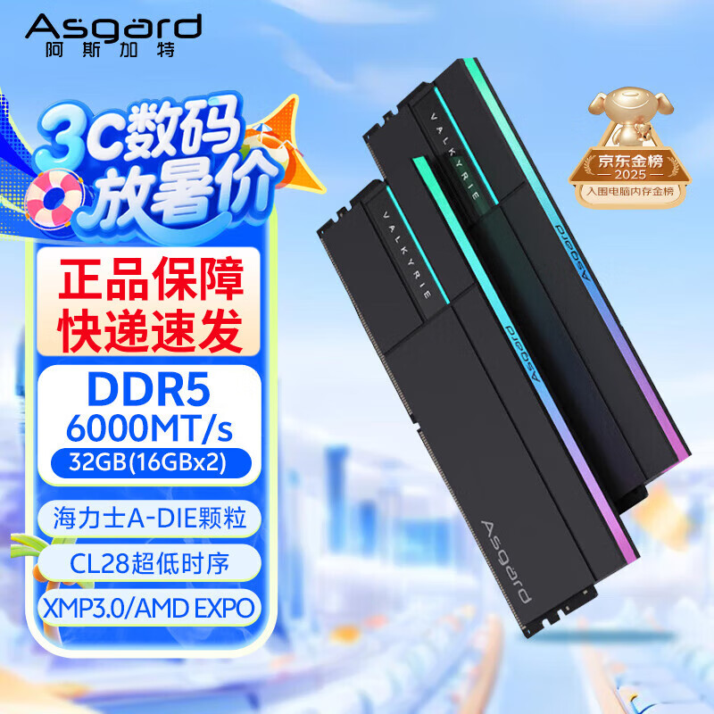 阿斯加特（Asgard）海姆达尔6000c28 	32GB(16GBx2) DDR5 6000 台式机内存条 女武神·瓦尔基里II代 RGB灯条 海力士A- 6000 C28 女武神II-极夜黑 A-