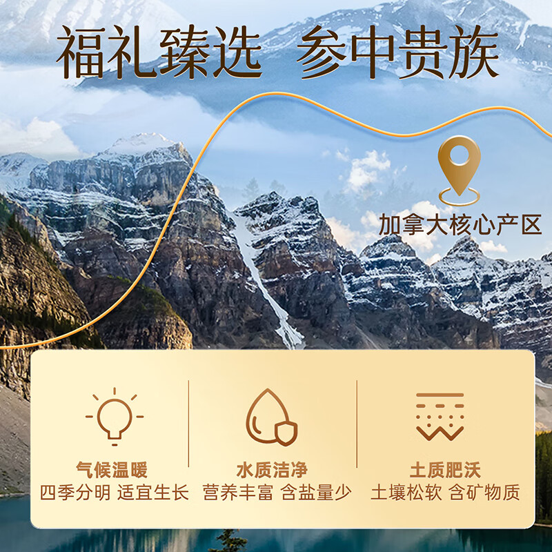 雷允上加拿大进口特级西洋参片花旗参片送长辈营养滋补品 【 甄选礼盒】 108g*1盒 （1.6-1.8cm）