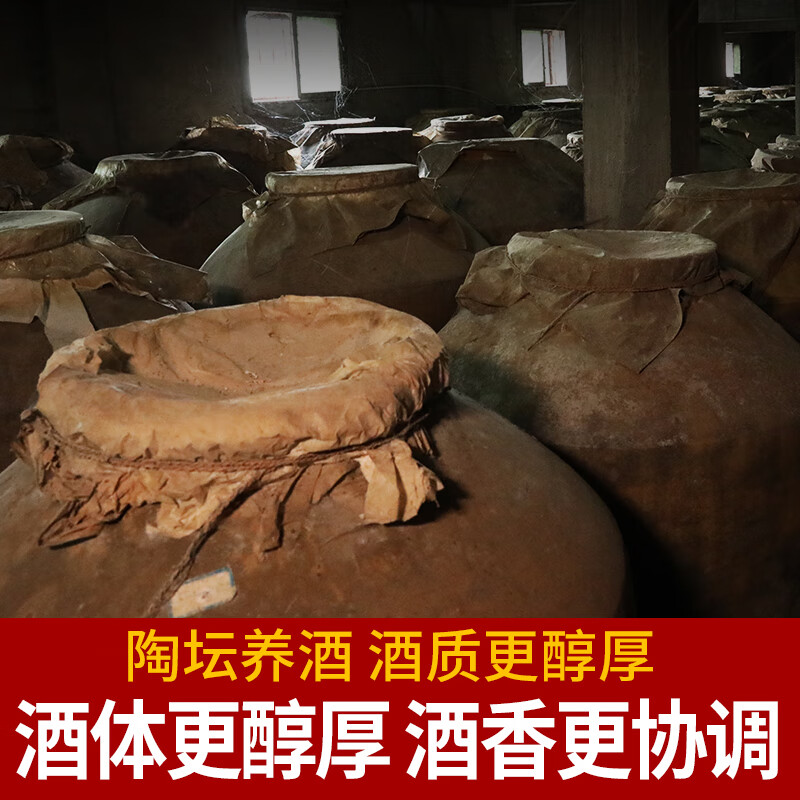 赖世仁酱香型白酒53度收藏坤沙酒茅台镇高档酒水高度酒玻璃桶装高粱酒 53度 5L 1桶