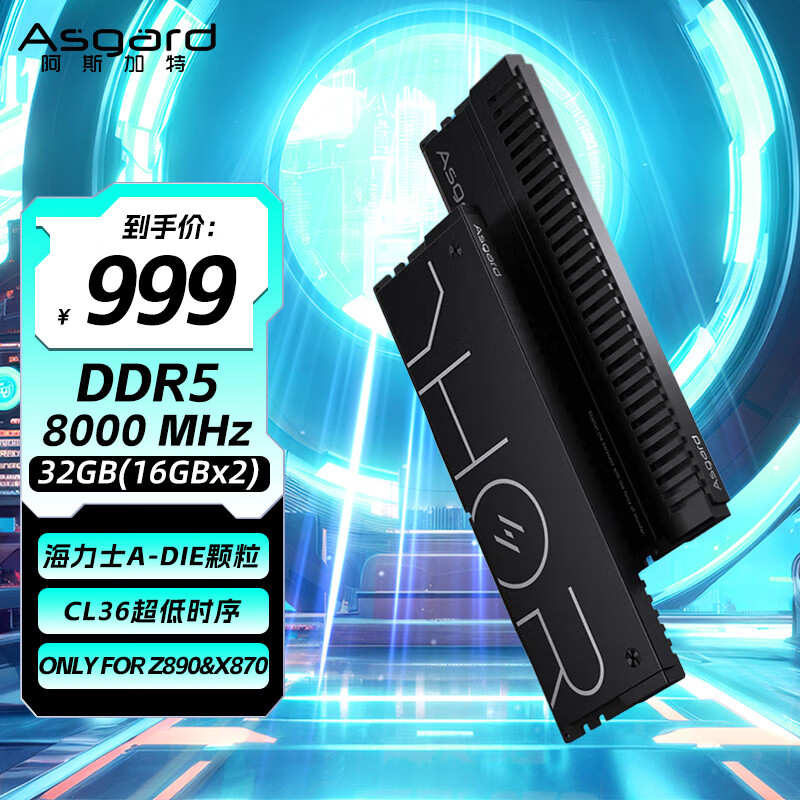 阿斯加特（Asgard）32GB(16GBx2) DDR5 8000 台式机内存条 雷神索尔 马甲条 海力士A-die CL36 极夜黑