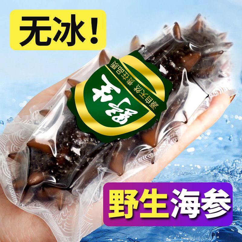 山姆優(yōu)選】即食海參即食正宗大連海參遼參野生海參禮袋裝滋補品過 10S高品質(zhì)【每斤3-6頭】星級酒店款 1000克裝-無冰足斤2斤