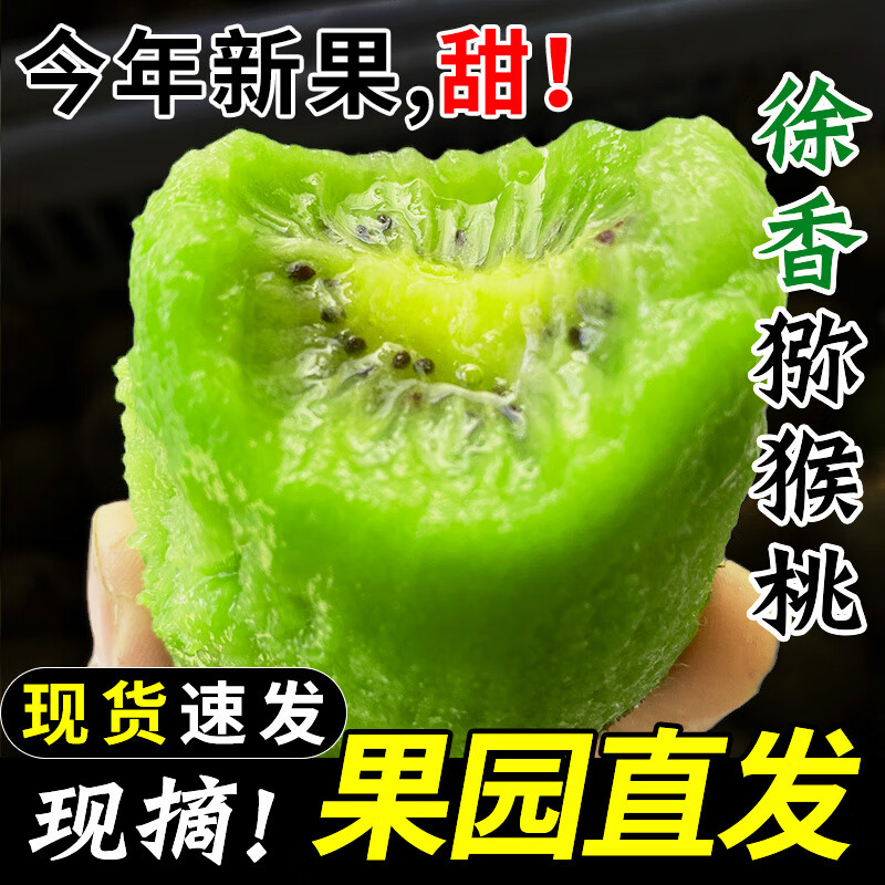 探味先生国产奇异果24枚精品绿心徐香猕猴桃新鲜泥猴桃奇异果包邮 24枚装【60-80g】