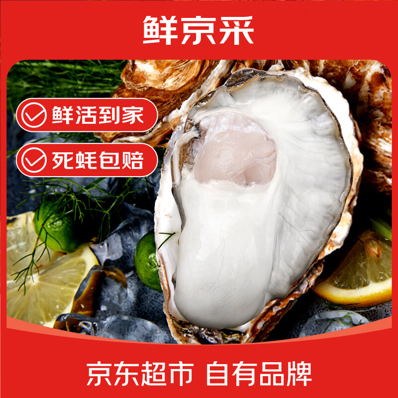 鲜京采 鲜活生蚝4XL 净重5斤 10-13只 鲜活到家 生鲜海鲜 源头直发