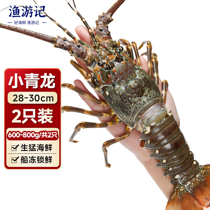 ���μ�ӡ��С����Ϻ ����1.2-1.6��/2ֻ ������Ϻ ��������ˮ����ϺϺ��