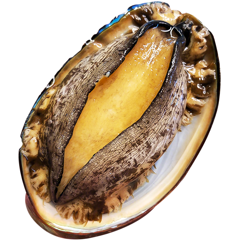 ɭũֱʻ䶳شʴűຣˮʳǽʳı֭ 14-15ֻ/д1 Ʒʡ