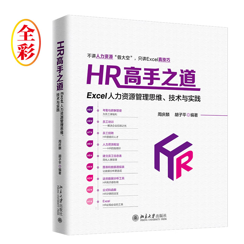 HR高手之道：Excel人力资源管理思维、技术与实践（全彩）