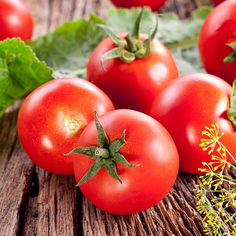 滇鲜生(dianxiansheng)滇鲜生西红柿新鲜现摘番茄生吃沙瓤水果柿子