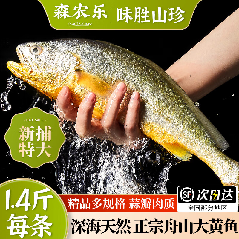 森农乐舟山大黄鱼礼盒深海黄花鱼生鲜鲜活冷冻冰鲜水产海鲜年货礼包商用 2条无礼盒【每条净重1.4斤】