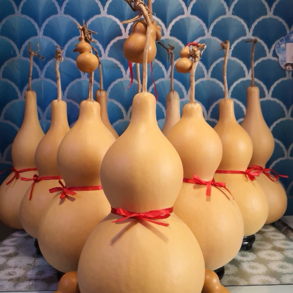 天然葫芦风水挂件客厅招财大号镇宅摆件带龙头居家办公文玩小葫芦 46至49厘米有龙头品相好 摆件送底座五帝钱