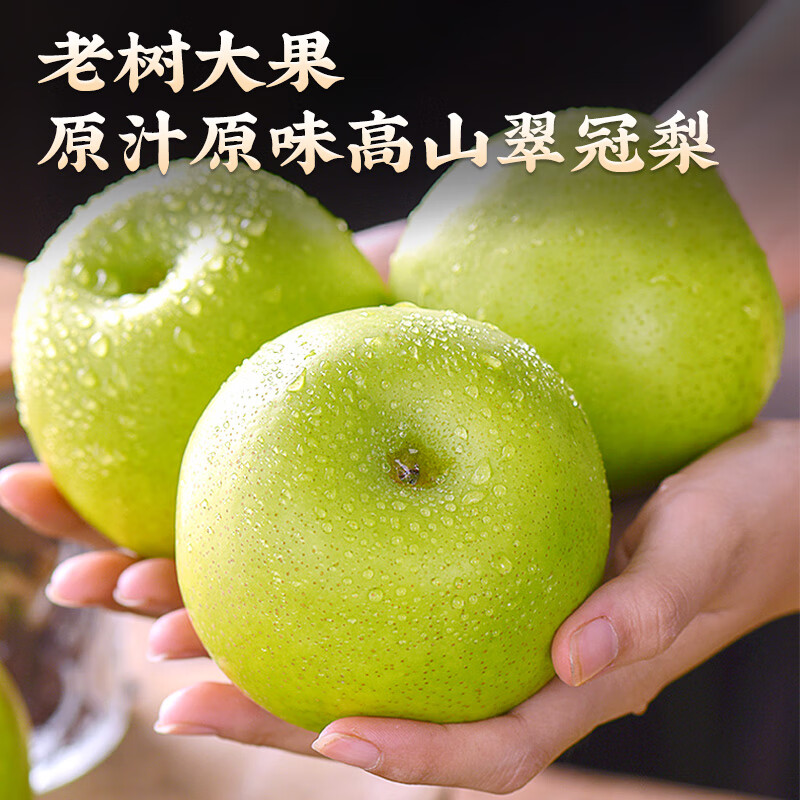菲农【精美礼盒】正宗苏州树山翠冠梨子新鲜水果现摘当季礼盒砀山脆蜜 送礼力荐 【精美礼盒】6-7两8颗 顺丰