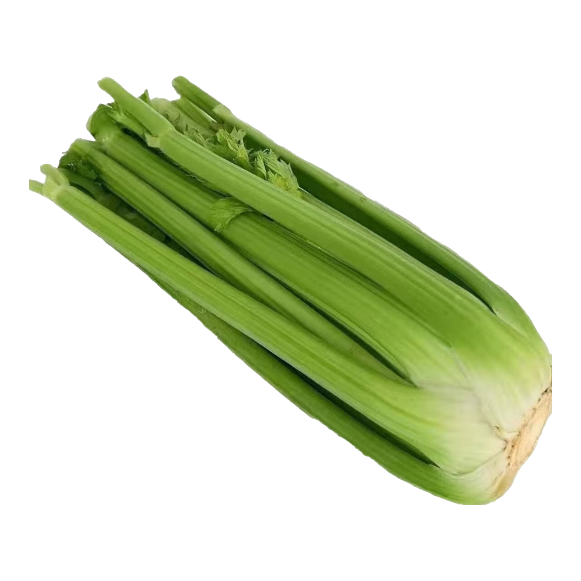新鲜大西芹现割现发榨汁西芹首选水果西芹鲜嫩蔬菜生鲜减肥减脂 新鲜西芹3斤