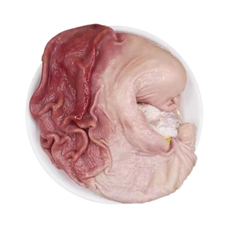 ���ʶ��ӹ������������䶳���ǡ���2������Լ2� �������1������*1ֻ 36Ԫ