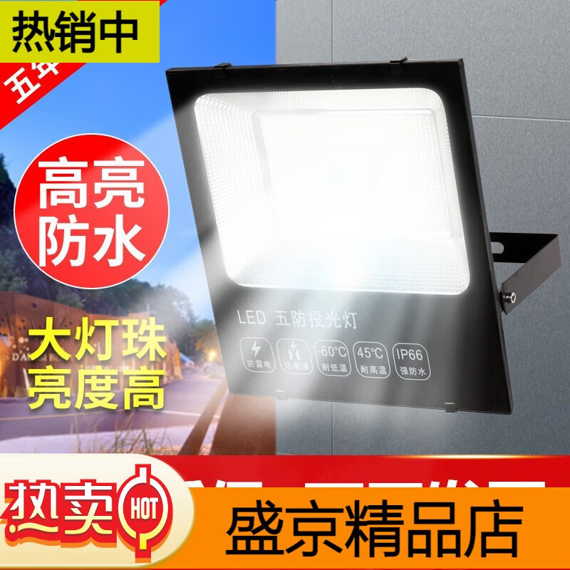 意普頓（EAPUDUN） led投光燈射燈戶外防水庭院燈工地工廠房車間探照室外照明院子燈 豪華款85w100燈珠-照射80平
