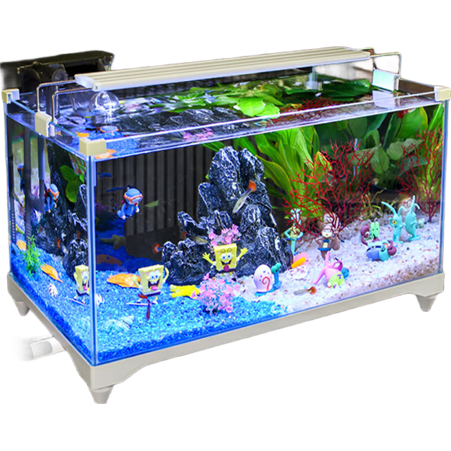 �������¿������̬���ײ����׼��ÿ����칫�����������㶷��ˮ�����쾰 80CM�ס������ײ͡�+��������