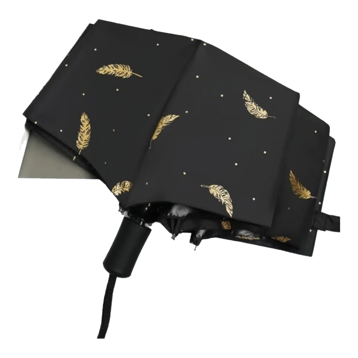 ɡ۵ڽ̽ëɡɡ÷ɹɡ̫ɡ ë8Ǻڽ