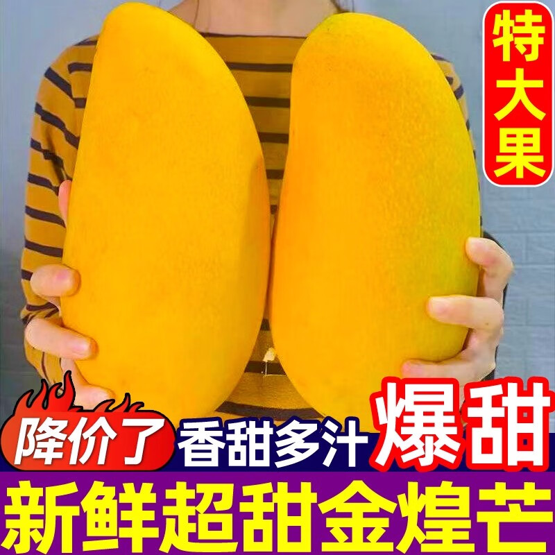 同甘园金煌芒芒果新鲜水果当季水仙芒青皮大芒果时令孕妇整箱 9斤装（净重8.5斤）单果300g+