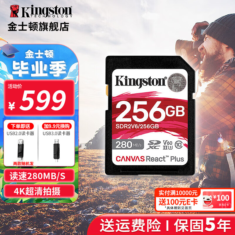 Kingston SD�� v60 256GB