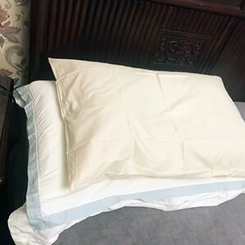 西川Nishikawa 日本进口柔软亲肤舒适枕套（树脂软管、卫生荞麦枕专用枕套） 唐纳滋枕套-米色60*40cm 65*43cm