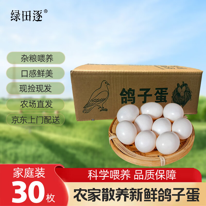 绿田逐 新鲜农家精选 初生鸽子蛋白鸽蛋 宝宝蛋30枚 450g源头直发