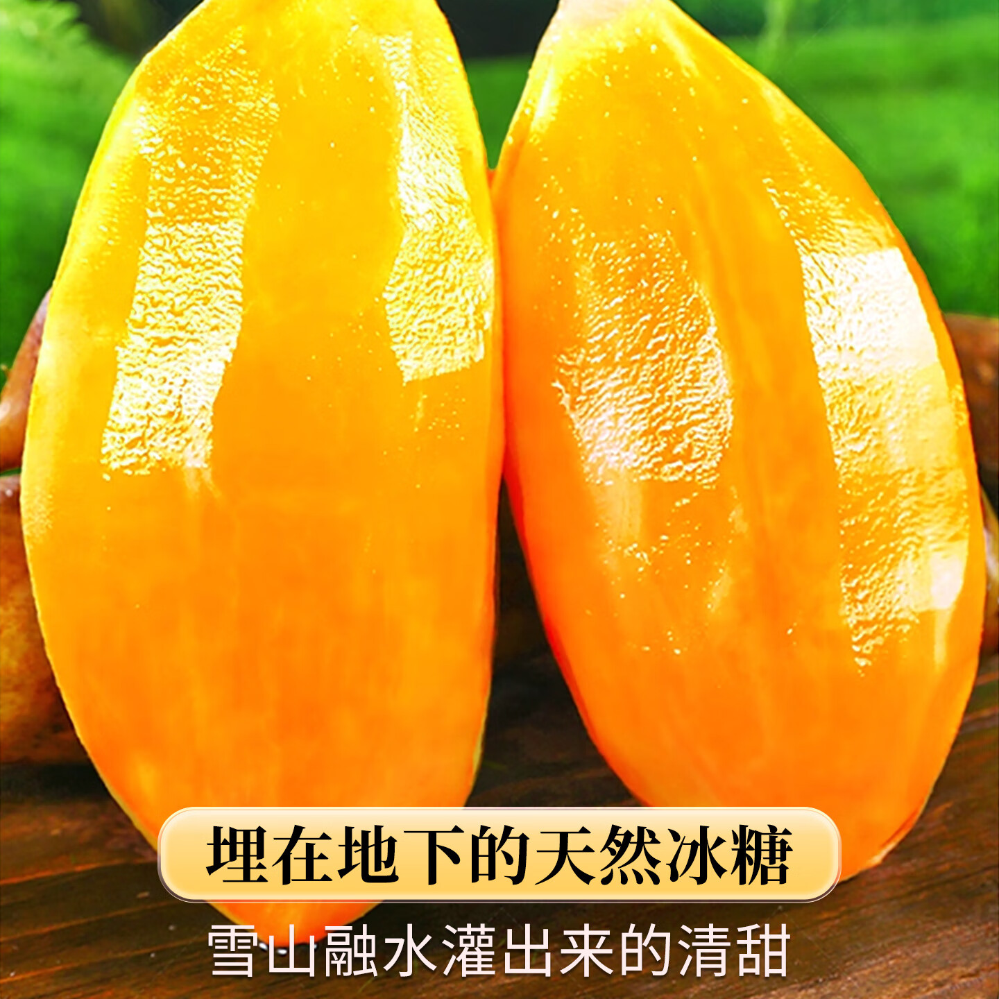 骄瑰云南天山雪莲果【多地次日达】当季水果新鲜现挖现发黄心果整箱发 5斤清甜果【单果100-250g】净重4.5斤
