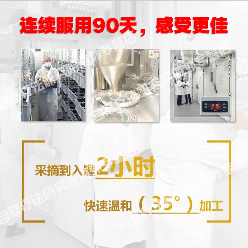 MycoVital玫克微朵德国进口巴西菇猴头菇粉胶囊343放化恶心疗后呕吐无食欲 巴西菇猴头菇粉胶囊 90粒*1瓶 巴西菇猴头菇