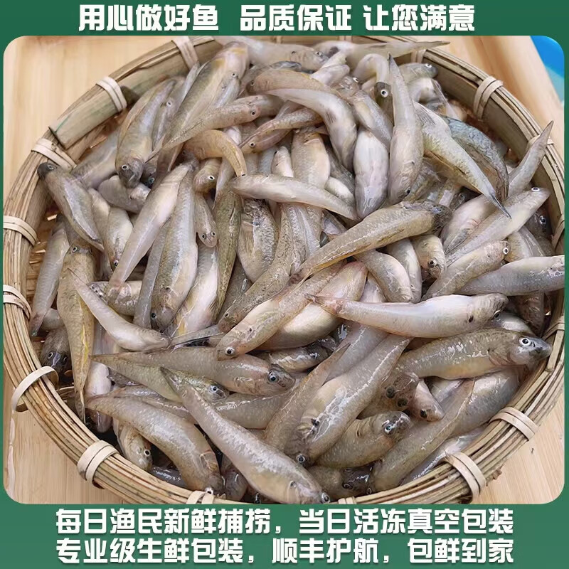 沙里趴鱼(不杀活冻) 2斤