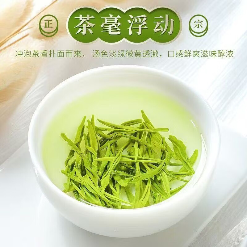 象棋山有機綠茶2025新茶高山云霧廣西昭平南山茶海高山毛尖綠茶 500g