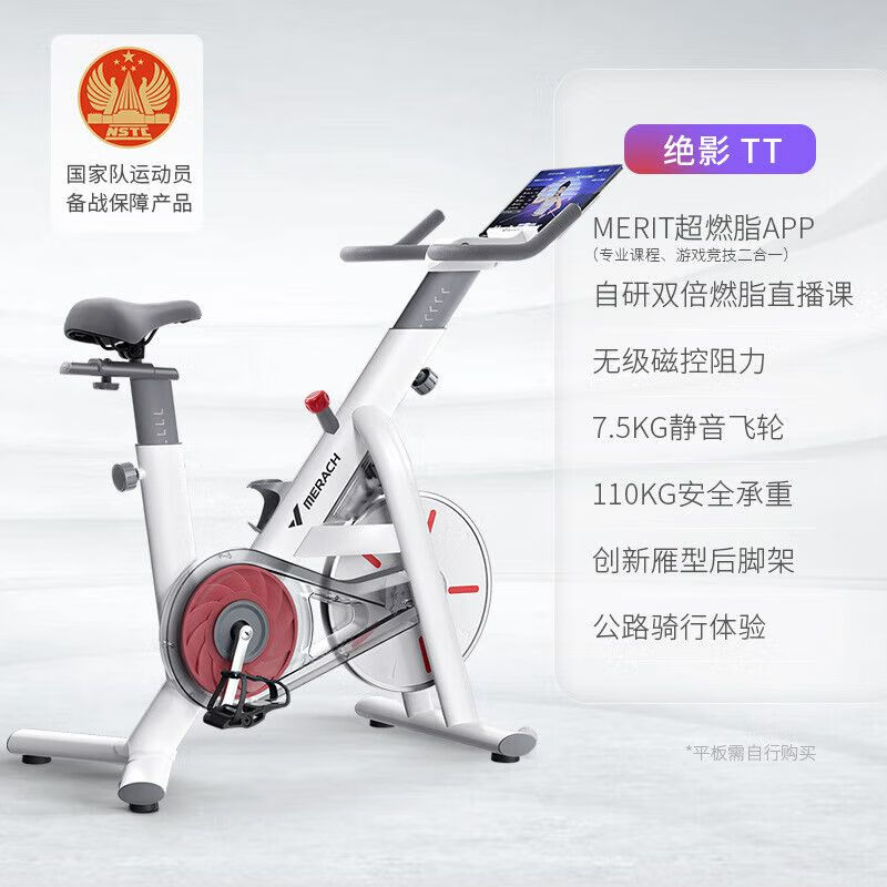 麦瑞克动感单车运动磁控健身家用自行车减肥器材室内静音绝影TT [极地白]