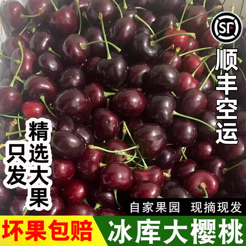 大連櫻桃冰庫冰酷美早大櫻桃國產(chǎn)車?yán)遄釉袐D新鮮水果賓庫順豐 3斤(凈重)  特大果(28mm-32mm)