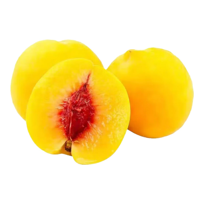 山东蒙阴正宗锦绣黄桃现摘当季新鲜水果头茬毛桃蜜桃应季-昕燚璐 净重1斤 单果150g+