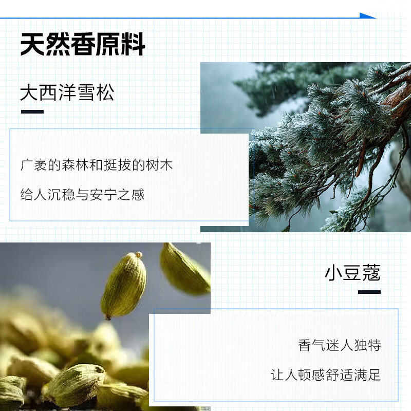 高夫限定男士淡香水少年香高级质感教师节礼物男教师教师节礼物男教师 序木香水30ml