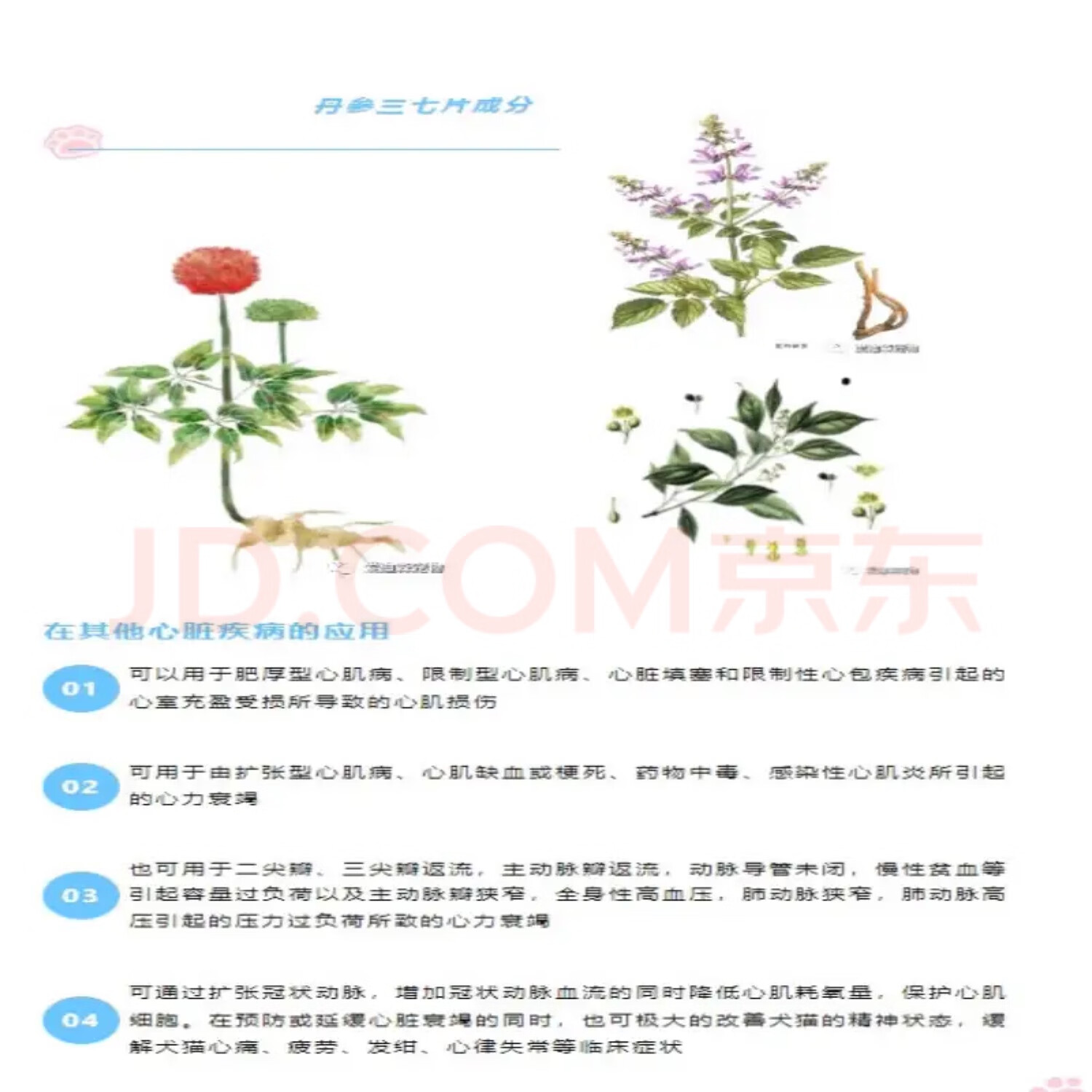 爱迪森速复安丹参三七片活血化瘀理气止痛狗犬充血性心力衰竭60片一盒 速复安60片一盒 【刮码发货】
