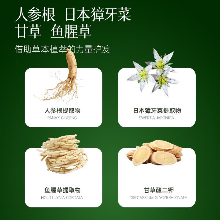 柑气楼日本无硅油控油洗发水修护洗头膏蓬松柔顺洗发露护发套装袋补充装 控油蓬松洗发水袋装500g【控油蓬松柔顺热销款】