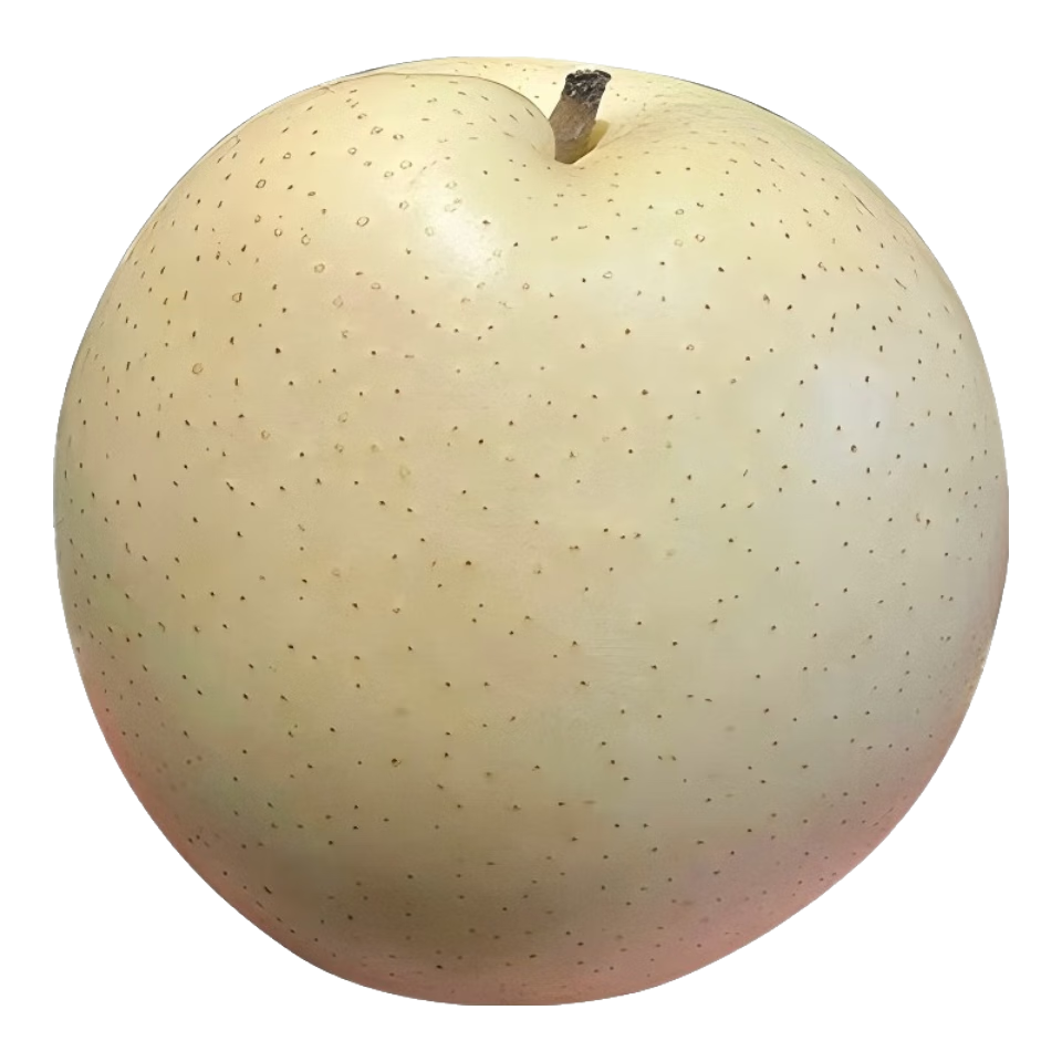 京鲜生安徽砀山白玉皇冠梨 净重5斤装 单果200g+ 生鲜水果源头直发