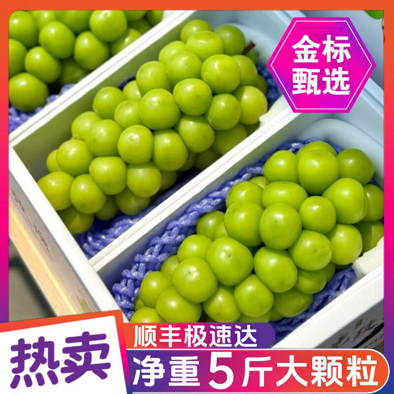 SVIP云南阳光玫瑰葡萄新鲜水果礼盒【京东配送】 净果4.5-5斤丨12-20g丨SVIP精选 顺丰/京东包邮丨甄选2-3串