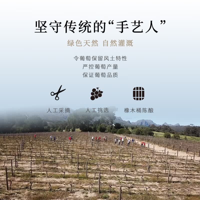 开普山（CAPE MOUNTAIN）K168红酒 精选赤霞珠混酿红葡萄酒 原瓶进口 整箱装750m 中秋送礼 百年庄园