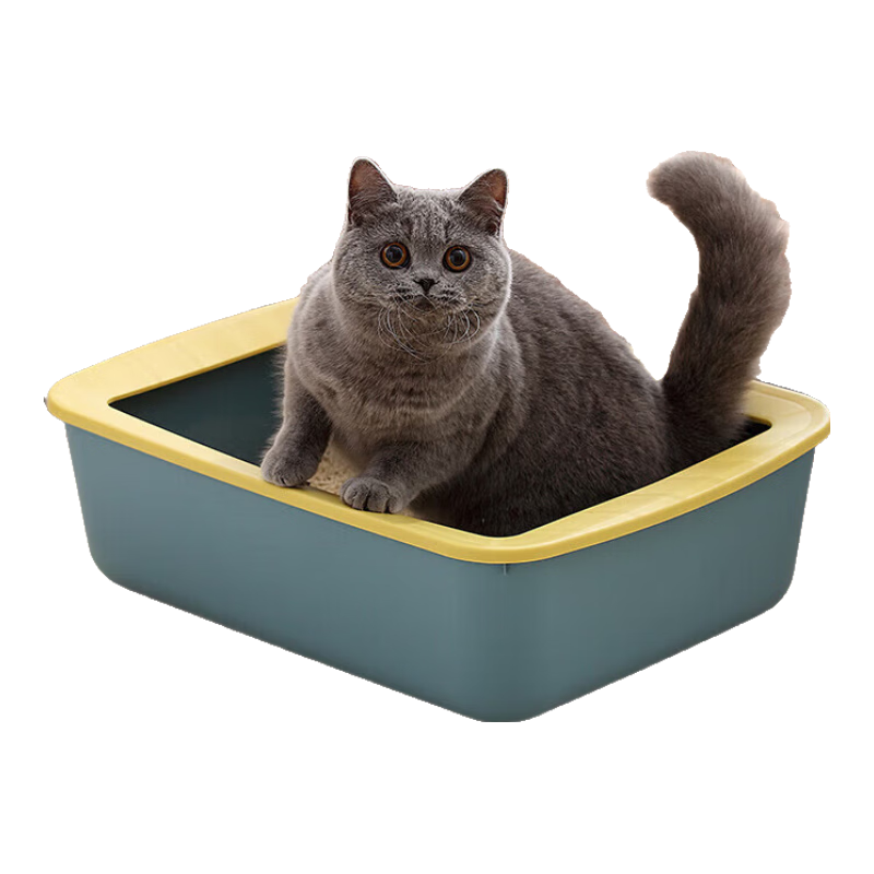 ����ʽèɰ�迪��ʽè�������Ʒ��Ű���è����С�ż�Լè�� ɺ���� С�ŵ���(�޸�)