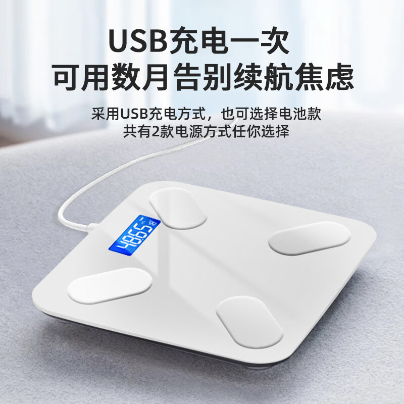 【精选直发】家用体重秤精准称电池秤成人健康人体脂蓝牙秤一件 瘦身白 APP体脂秤【充电款】