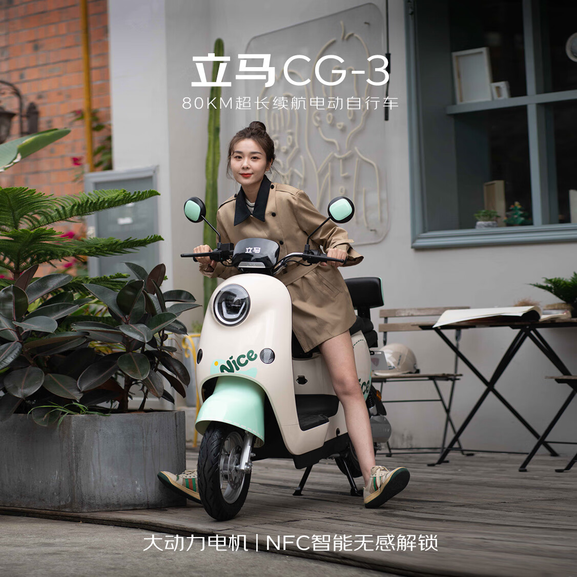 立马【CCTV大国品牌】东哥送年货同款电动自行车CG-3 宁德时代汽车级锂电48V24Ah电动车自行上牌 绿