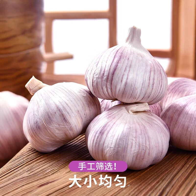 新鲜紫皮大蒜 现挖先发 特级大蒜 48小时内发货 4.5斤紫皮大蒜