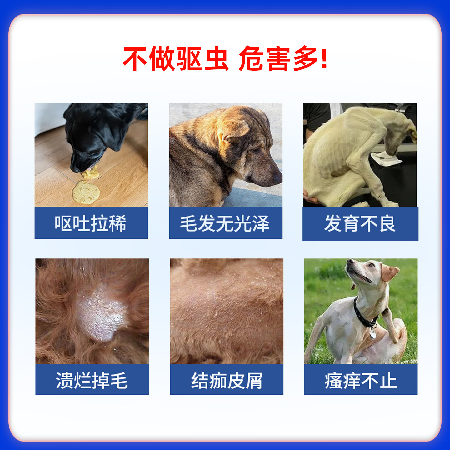 金宇生物吡虫啉莫昔克丁滴剂猫咪狗狗驱虫药外驱内驱二合一猫猫耳螨驱虫药 大猫用(4-8kg)3支装