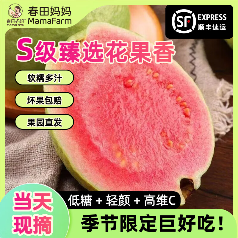 【吃出好气色】冰淇淋奶油红心芭乐果低糖应季孕妇水果广东番石榴 【推荐买】5斤|S级臻选软糯