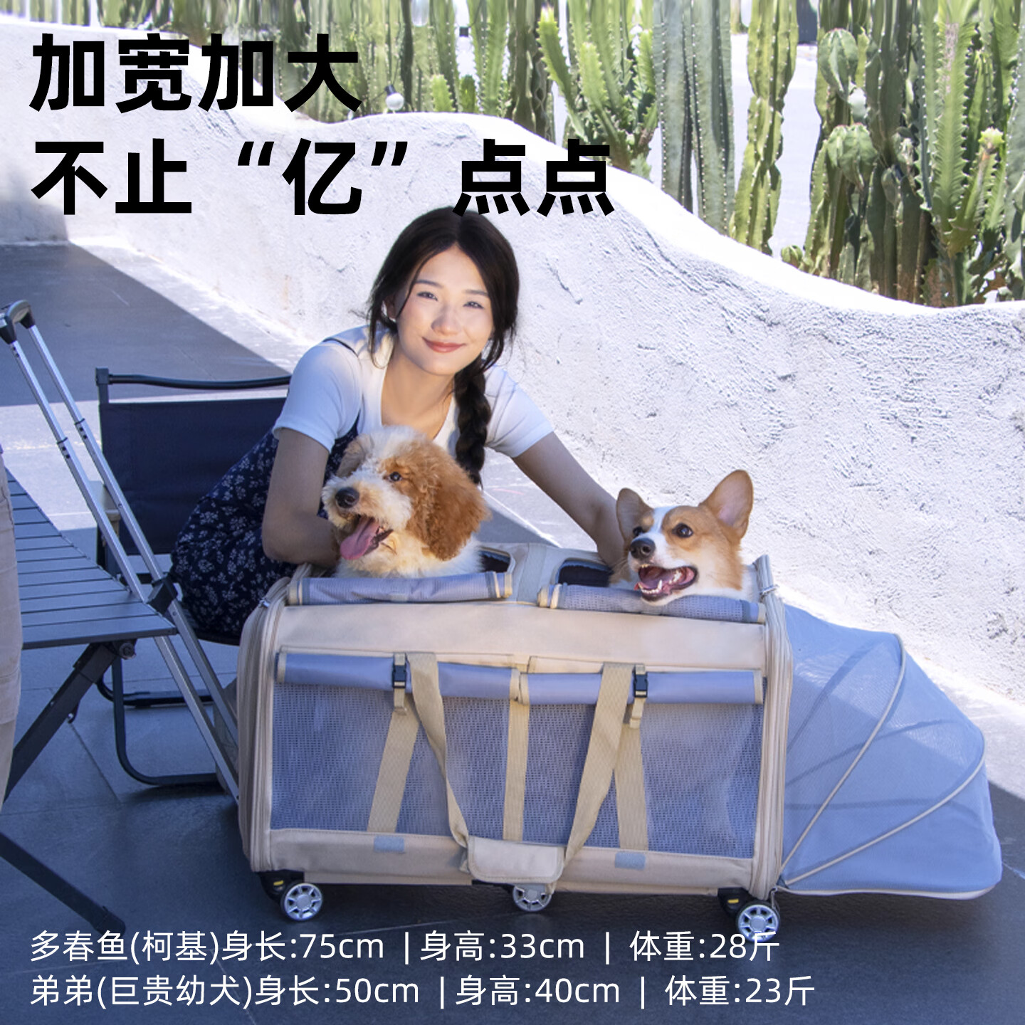 DO DO PET宠物拉杆箱包加大号两厢可隔离宠物包猫咪外出便携拉杆包出行猫包 星灰色-防风拓展款【快速送达】 建议狗狗40斤内,猫咪3-6只