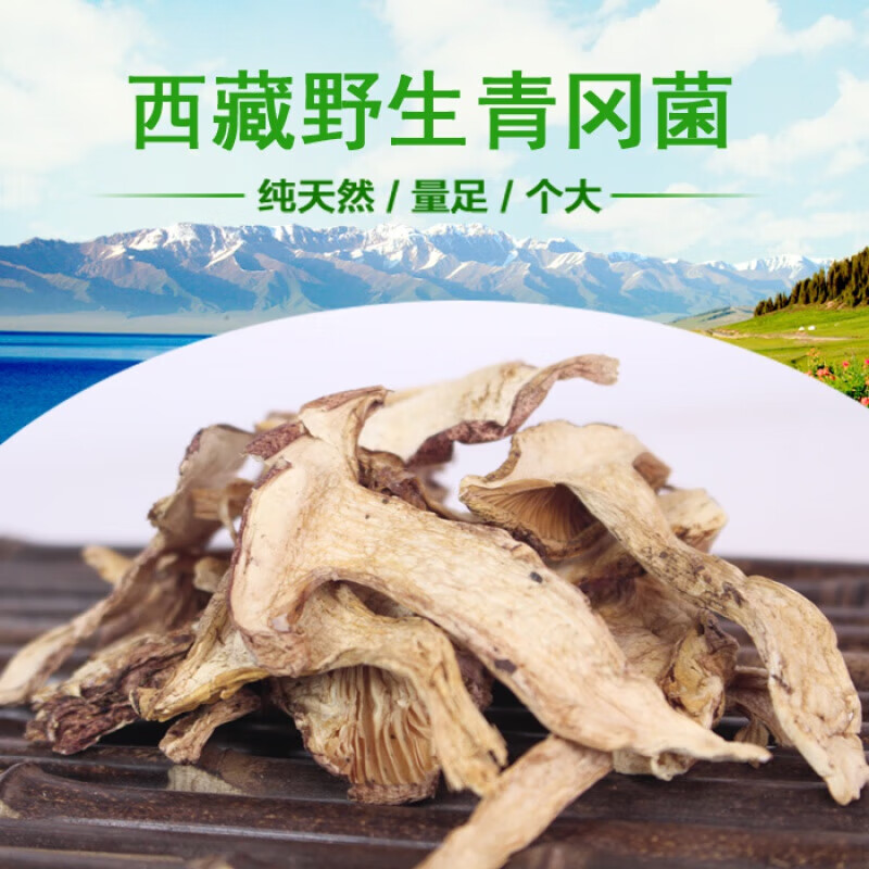西藏特产绝深山青冈菌干货青杆菌青岗菌外观似松茸一袋 300g