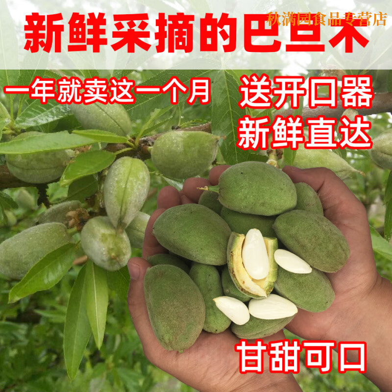 梦信新鲜采摘青皮巴旦木大杏仁5斤当季新鲜2025年松鼠鲜果巴旦木 薄壳2斤(+开口器)