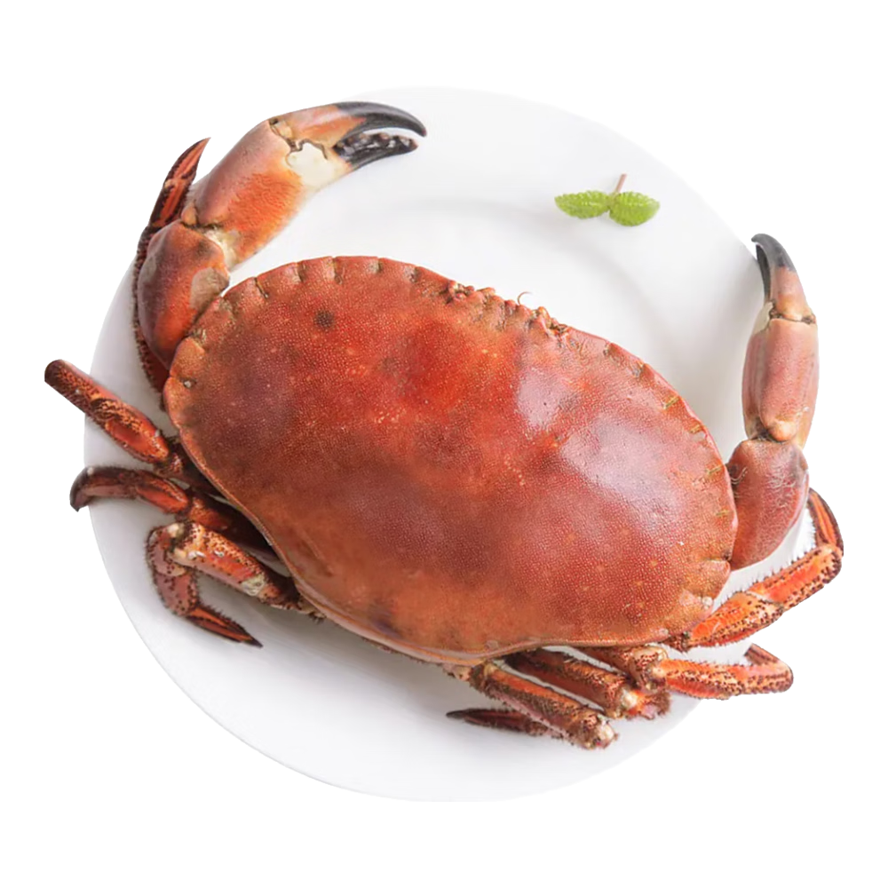 зƽз ʻٶʱ ˳ᷢʵз з800-1000g/ֻ