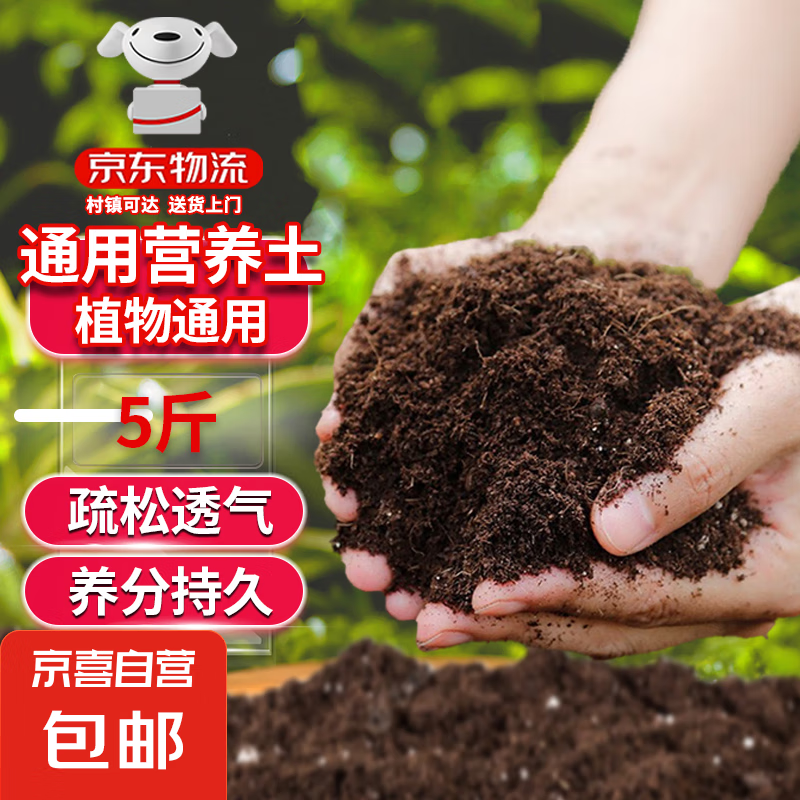 ӪֲлֲֲҬשͨ лӪ5԰ʦר䷽2.8Ԫ