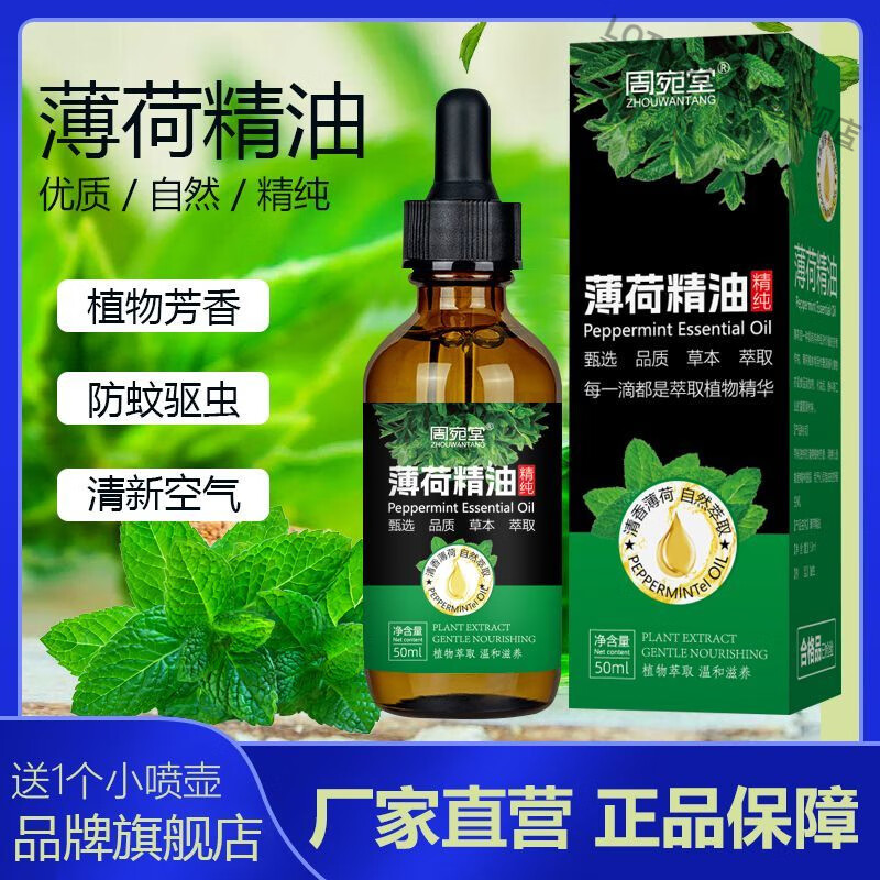 LQTMSZ薄荷油驱虫驱鼠喷雾天然胡椒欧薄荷精油提神醒脑清凉芳疗按摩香薰 50毫升(送喷壶)