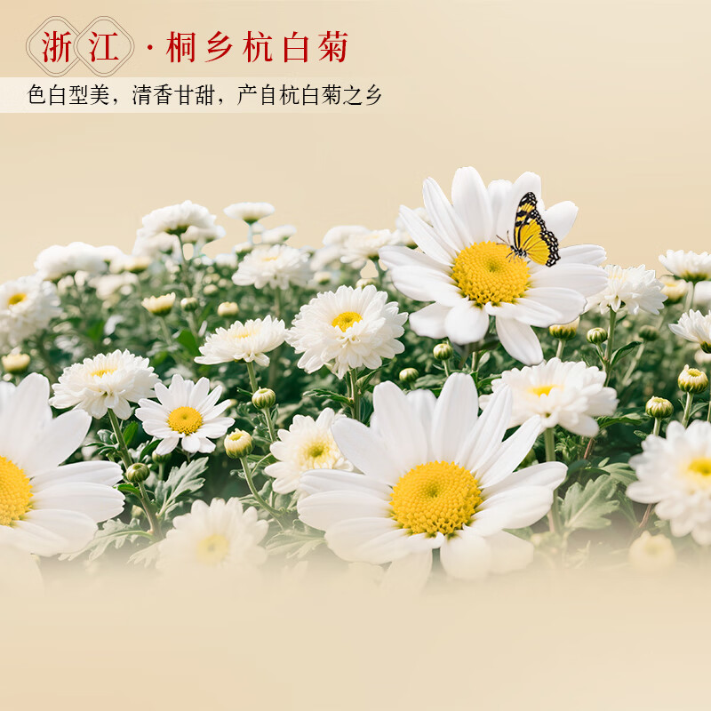 健力宝雪莲菊花茶植物饮料500ml瓶装0糖0脂0卡清润去火茶解腻下火茶饮 雪莲菊花茶 500ml*15瓶